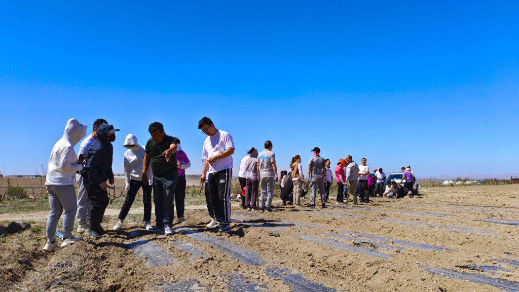 走进田园 播种希望|人生就是博物流春种团建活动