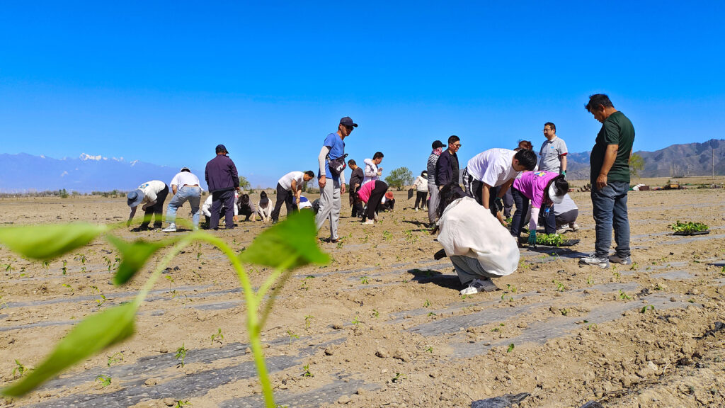 走进田园 播种希望|人生就是博物流春种团建活动