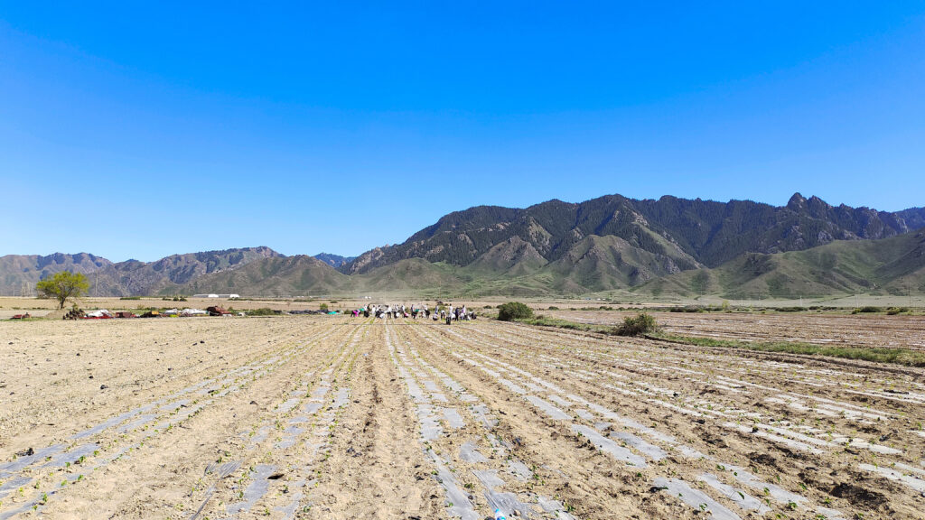 走进田园 播种希望|人生就是博物流春种团建活动