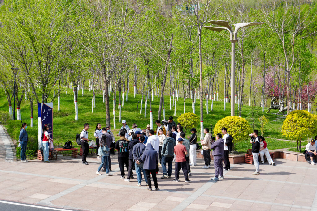 绿径同行·步筑新途 | 人生就是博物流团队徒步团建之旅