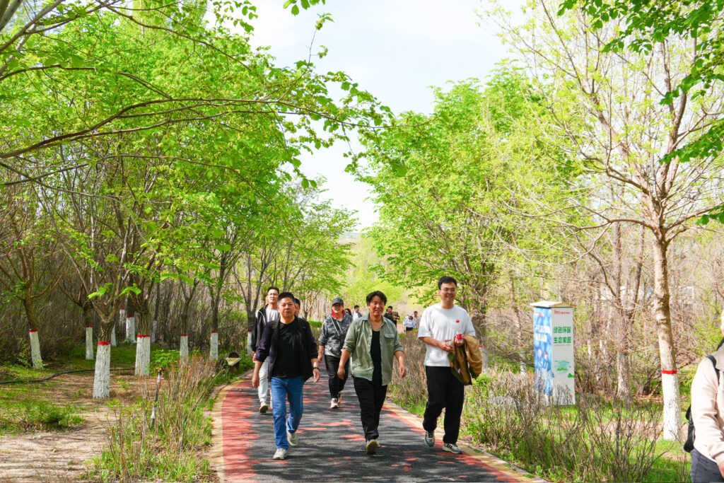 绿径同行·步筑新途 | 人生就是博物流团队徒步团建之旅