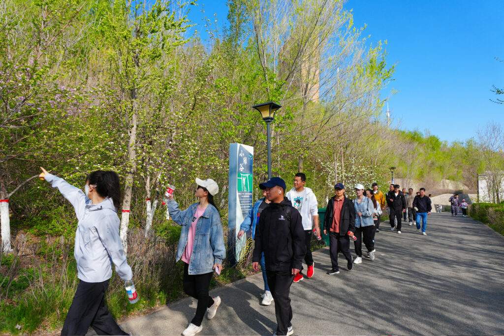 绿径同行·步筑新途 | 人生就是博物流团队徒步团建之旅